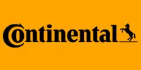 Conti Temic microelectronic GmbH