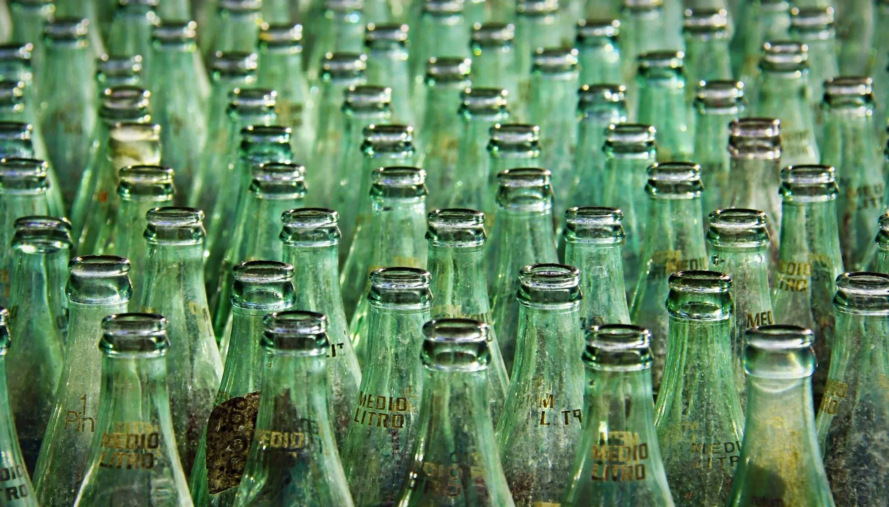 Reihen grüner Glasflaschen