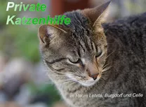 Logo der Privaten Katzenhilfe