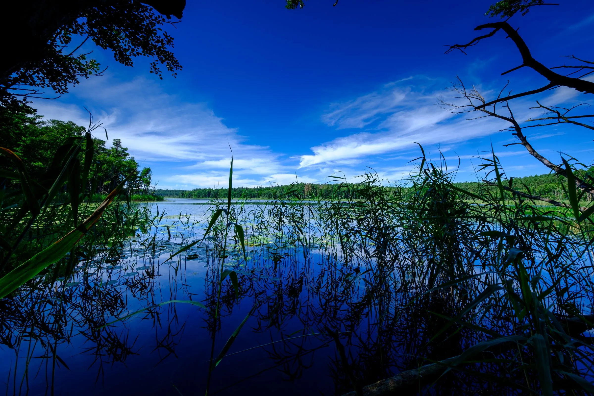 Ruhiger See unter einem weiten Wolkenhimmel